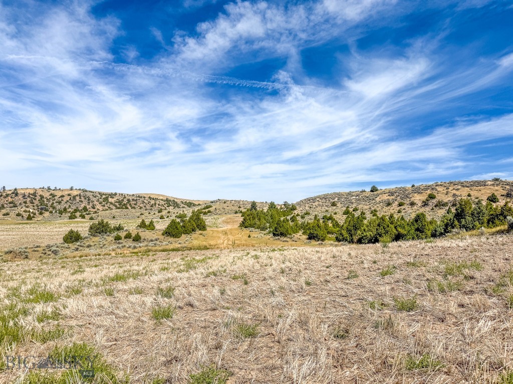 NHN Pole Gulch