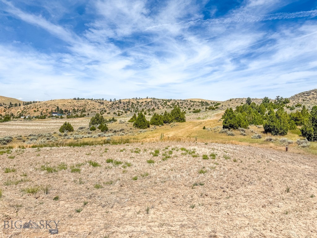 NHN Pole Gulch