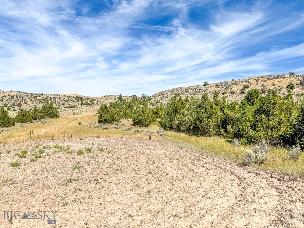 NHN Pole Gulch