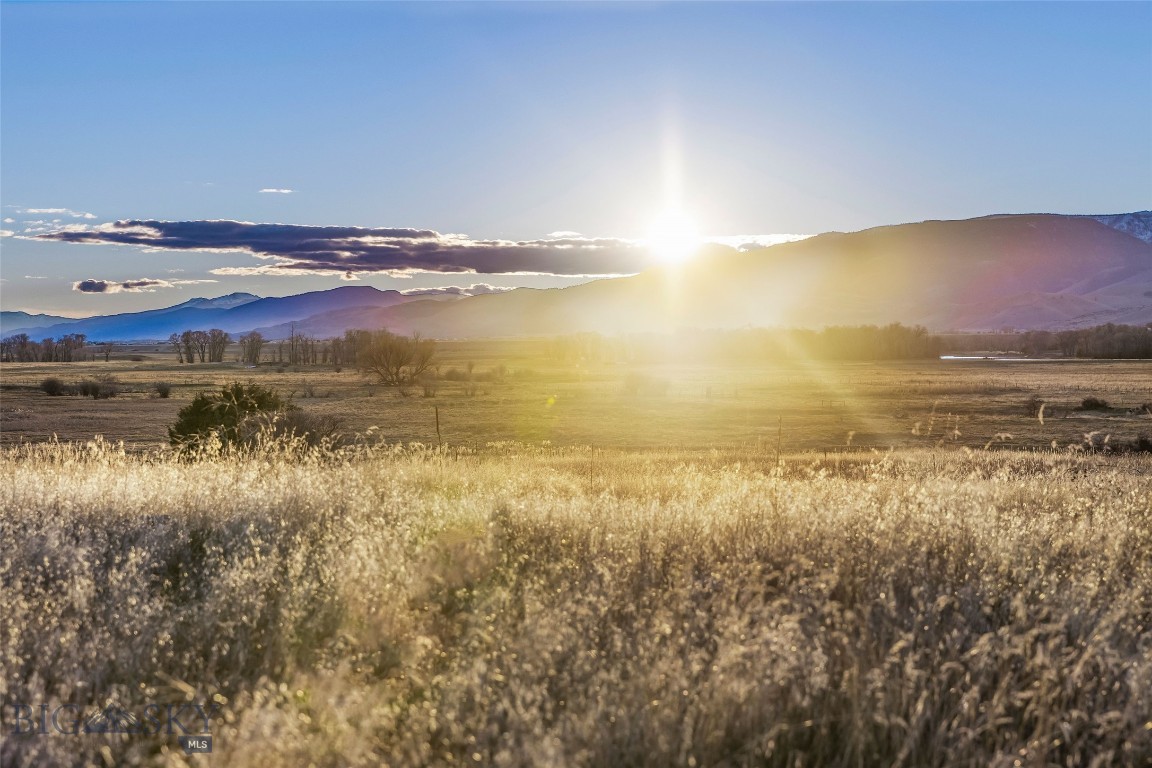 60 Rocky Hollow Trail