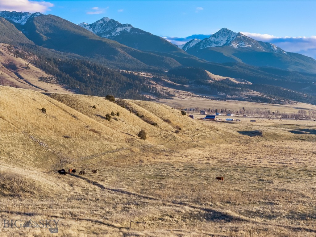 60 Rocky Hollow Trail