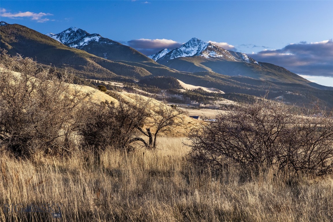 60 Rocky Hollow Trail