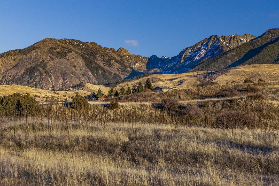 60 Rocky Hollow Trail