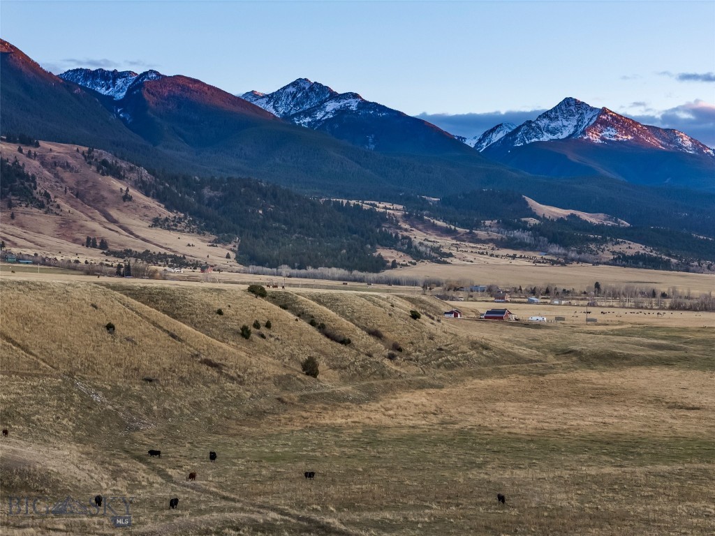 60 Rocky Hollow Trail