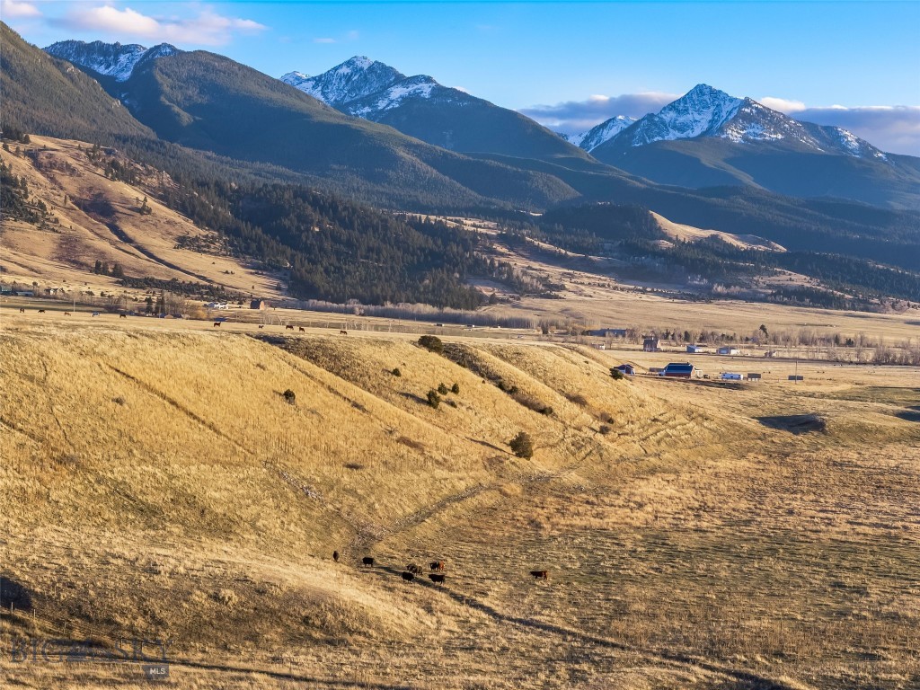 60 Rocky Hollow Trail