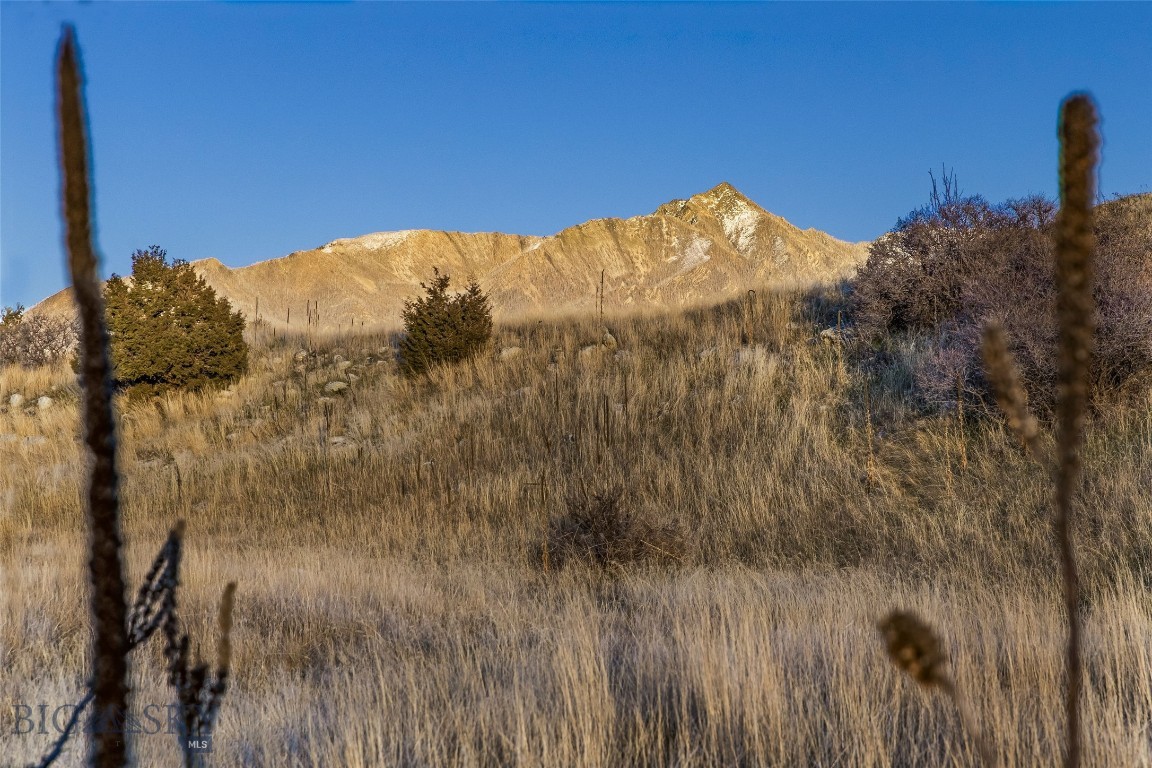 60 Rocky Hollow Trail