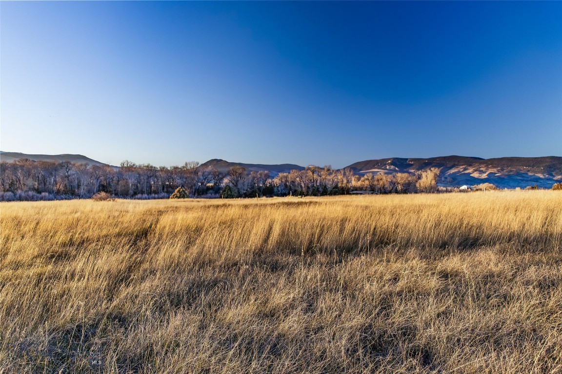 60 Rocky Hollow Trail