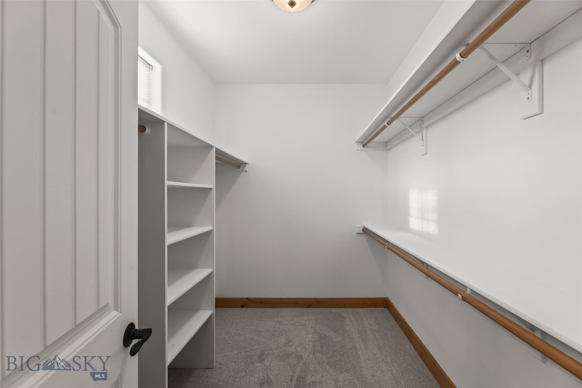 1205 New Holland Drive