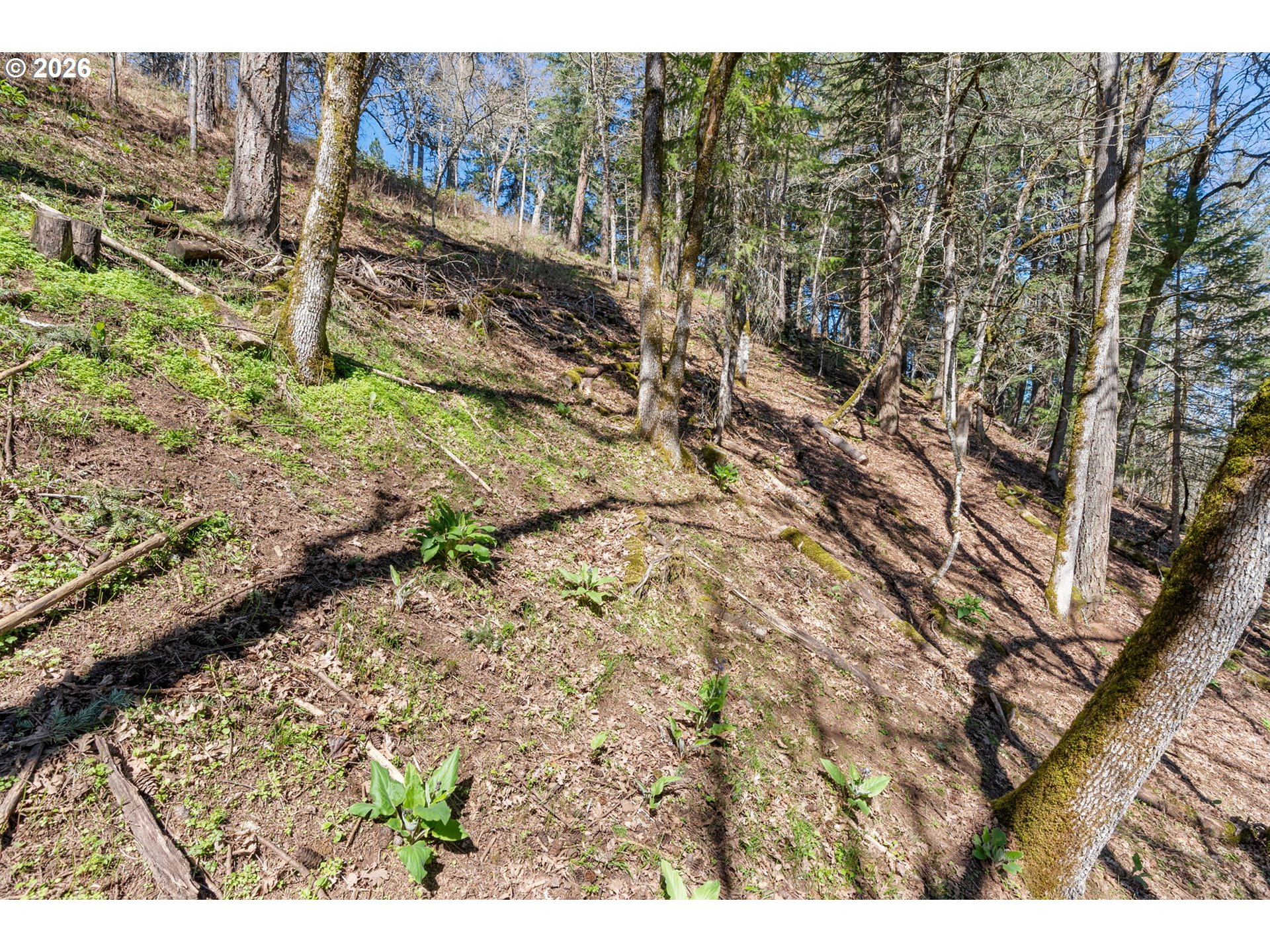 735 NW STRAWBERRY MOUNTAIN RD