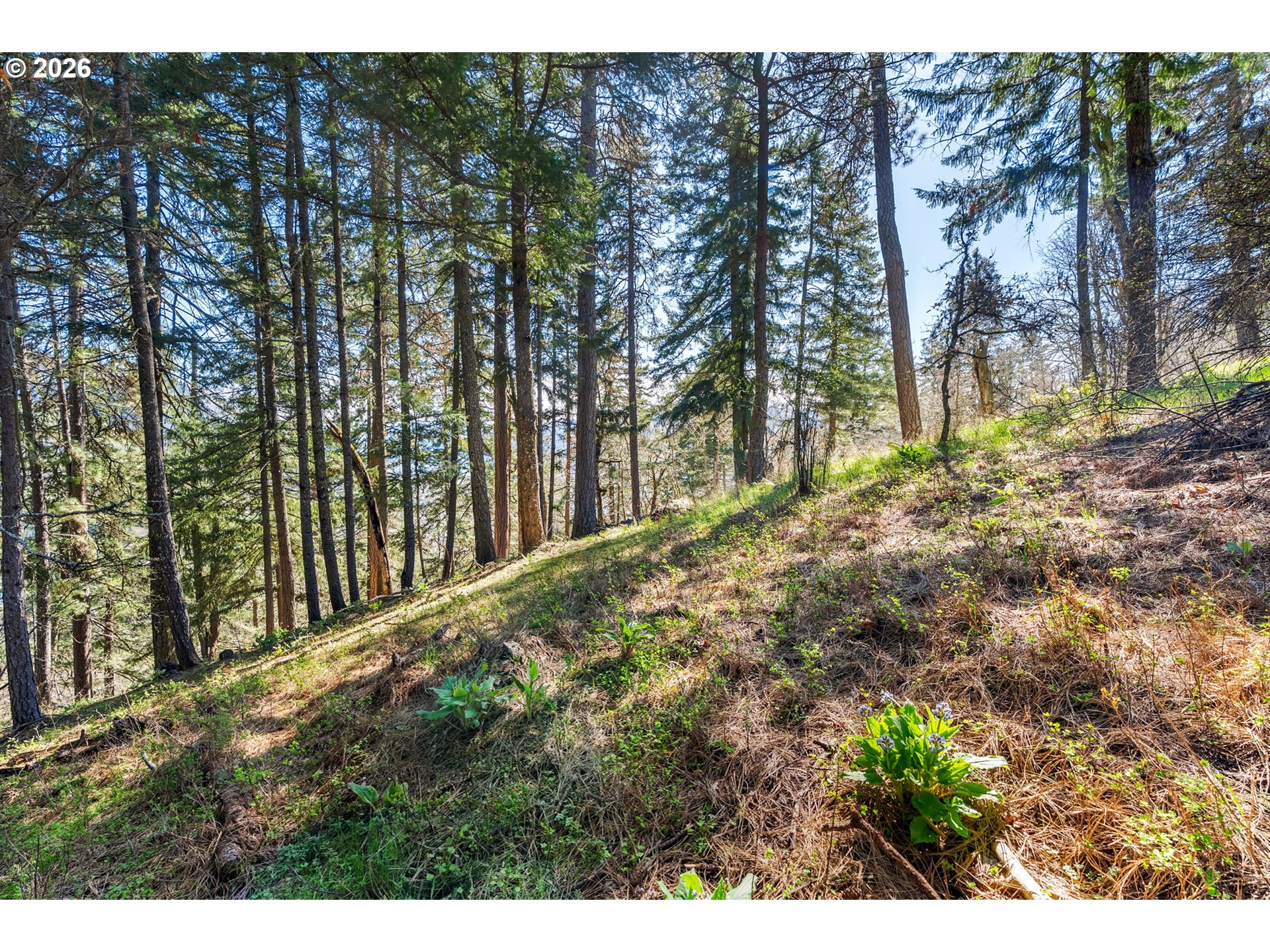 735 NW STRAWBERRY MOUNTAIN RD