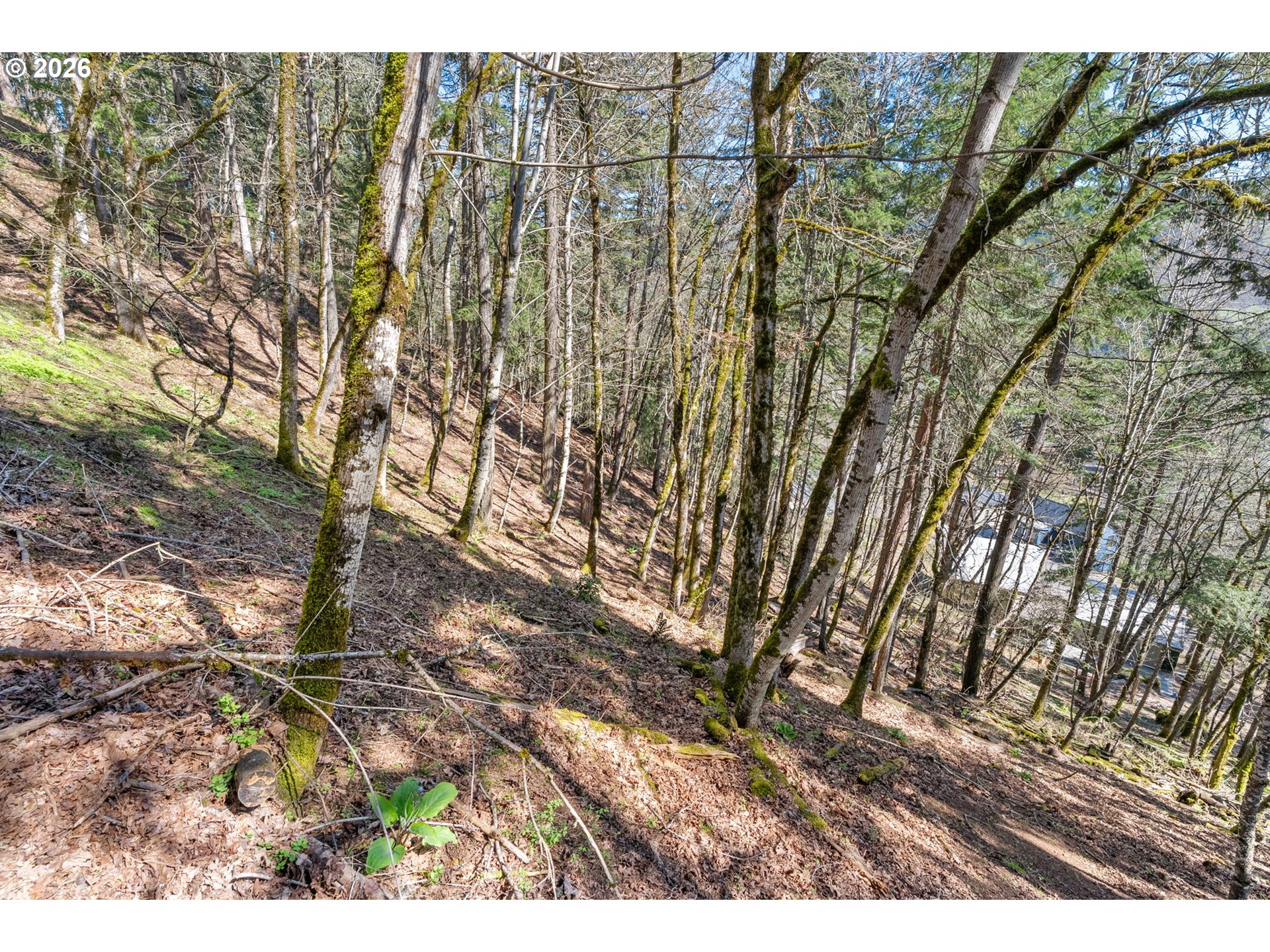 735 NW STRAWBERRY MOUNTAIN RD