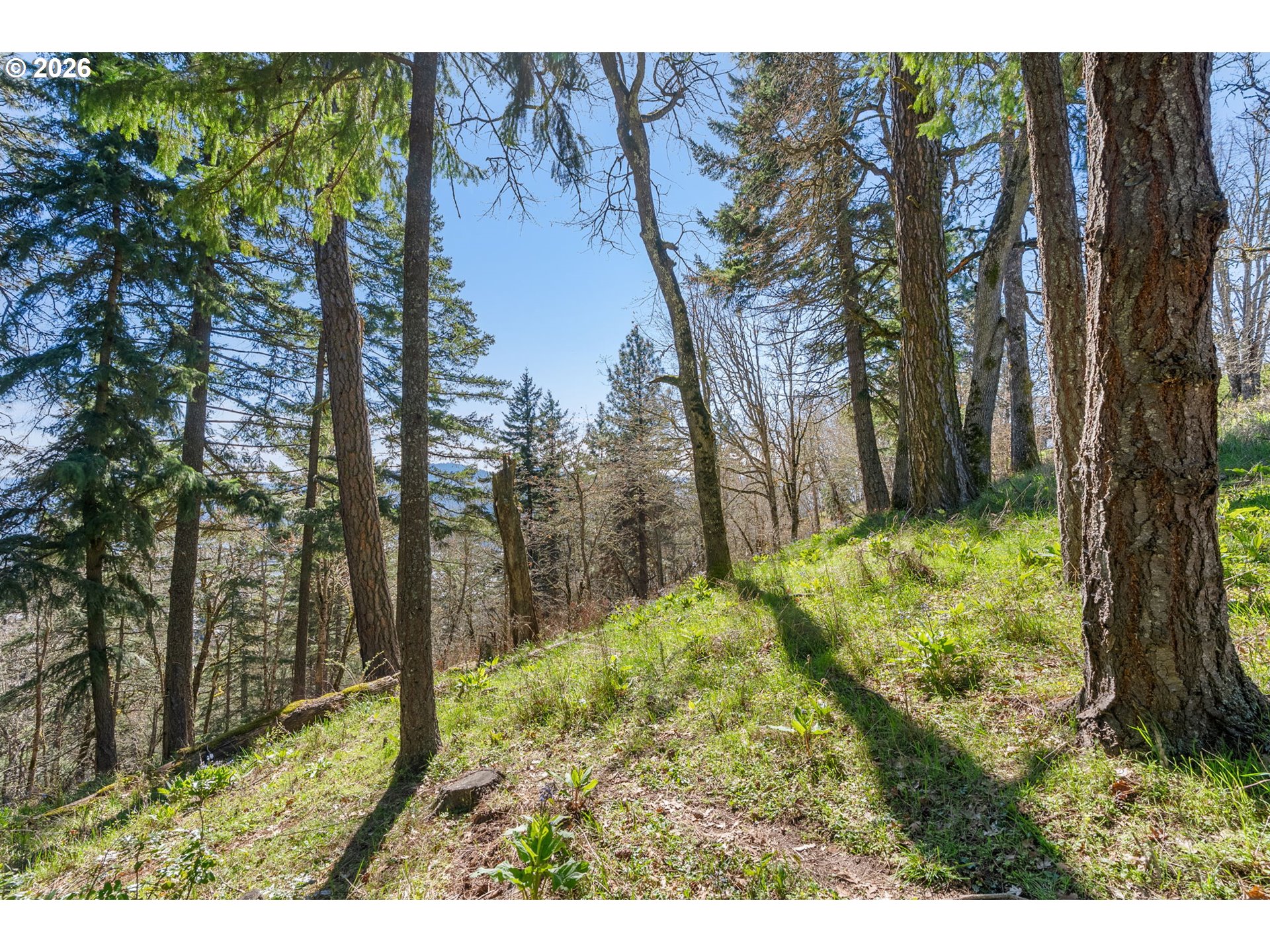 735 NW STRAWBERRY MOUNTAIN RD