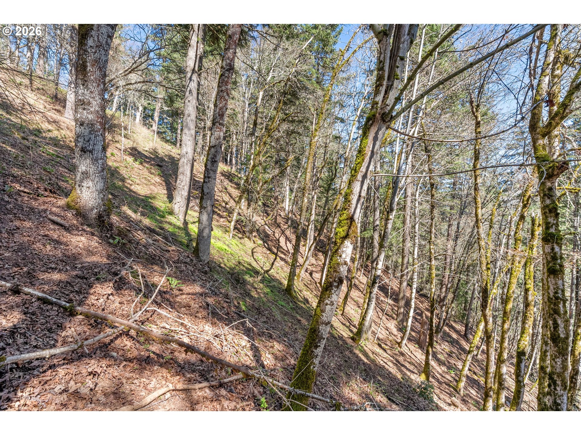 735 NW STRAWBERRY MOUNTAIN RD