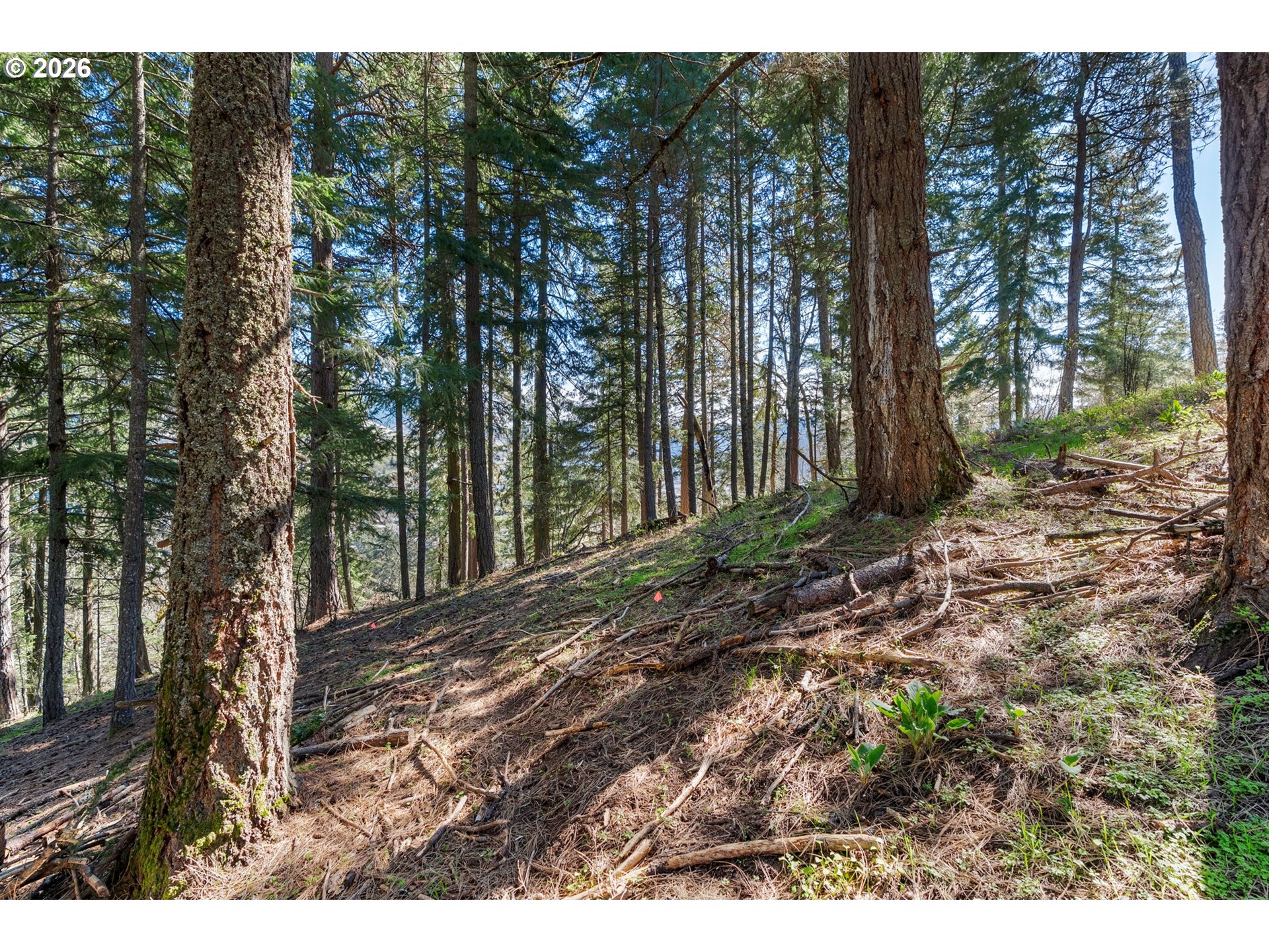 735 NW STRAWBERRY MOUNTAIN RD