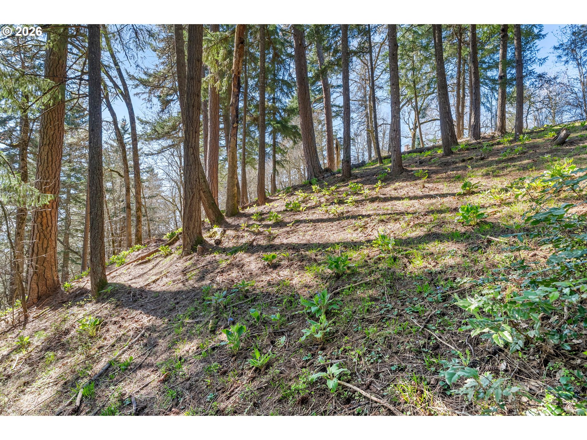 735 NW STRAWBERRY MOUNTAIN RD