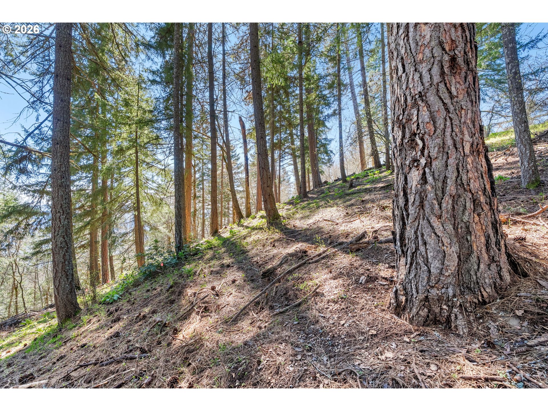 735 NW STRAWBERRY MOUNTAIN RD