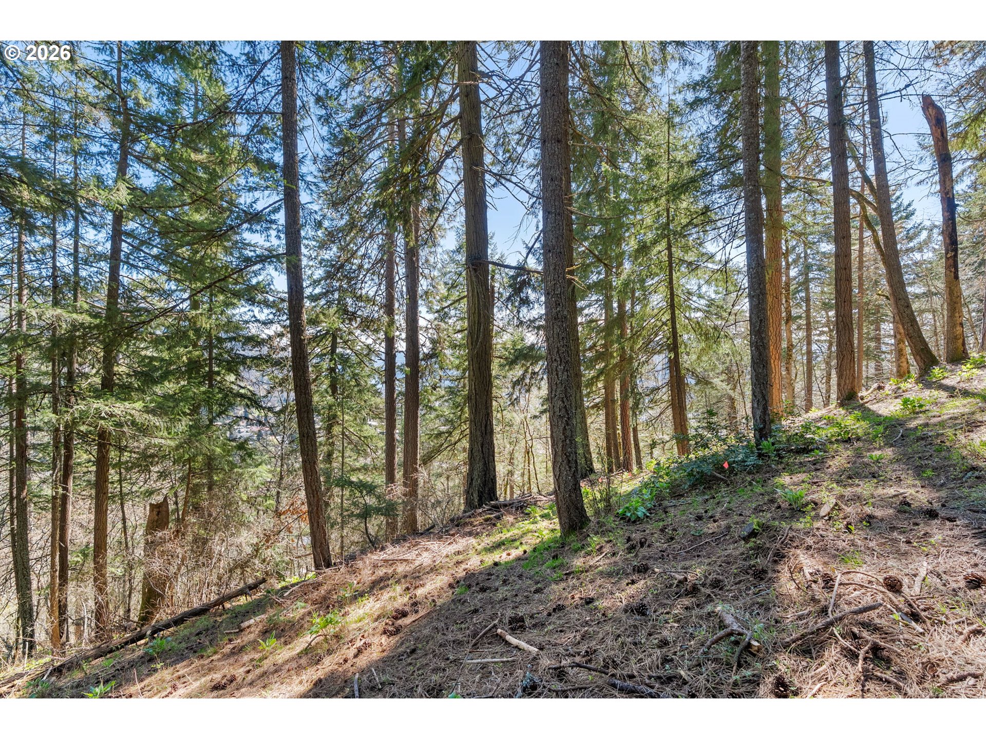 735 NW STRAWBERRY MOUNTAIN RD