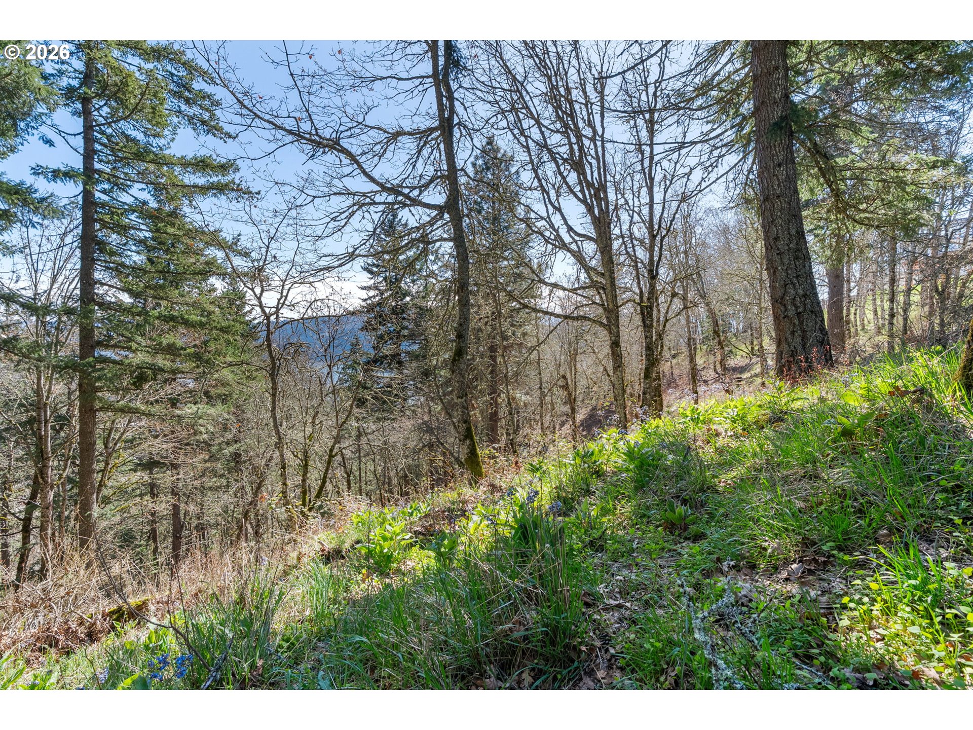 735 NW STRAWBERRY MOUNTAIN RD