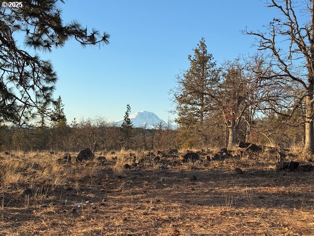 17 W SCENIC LOOP, Goldendale