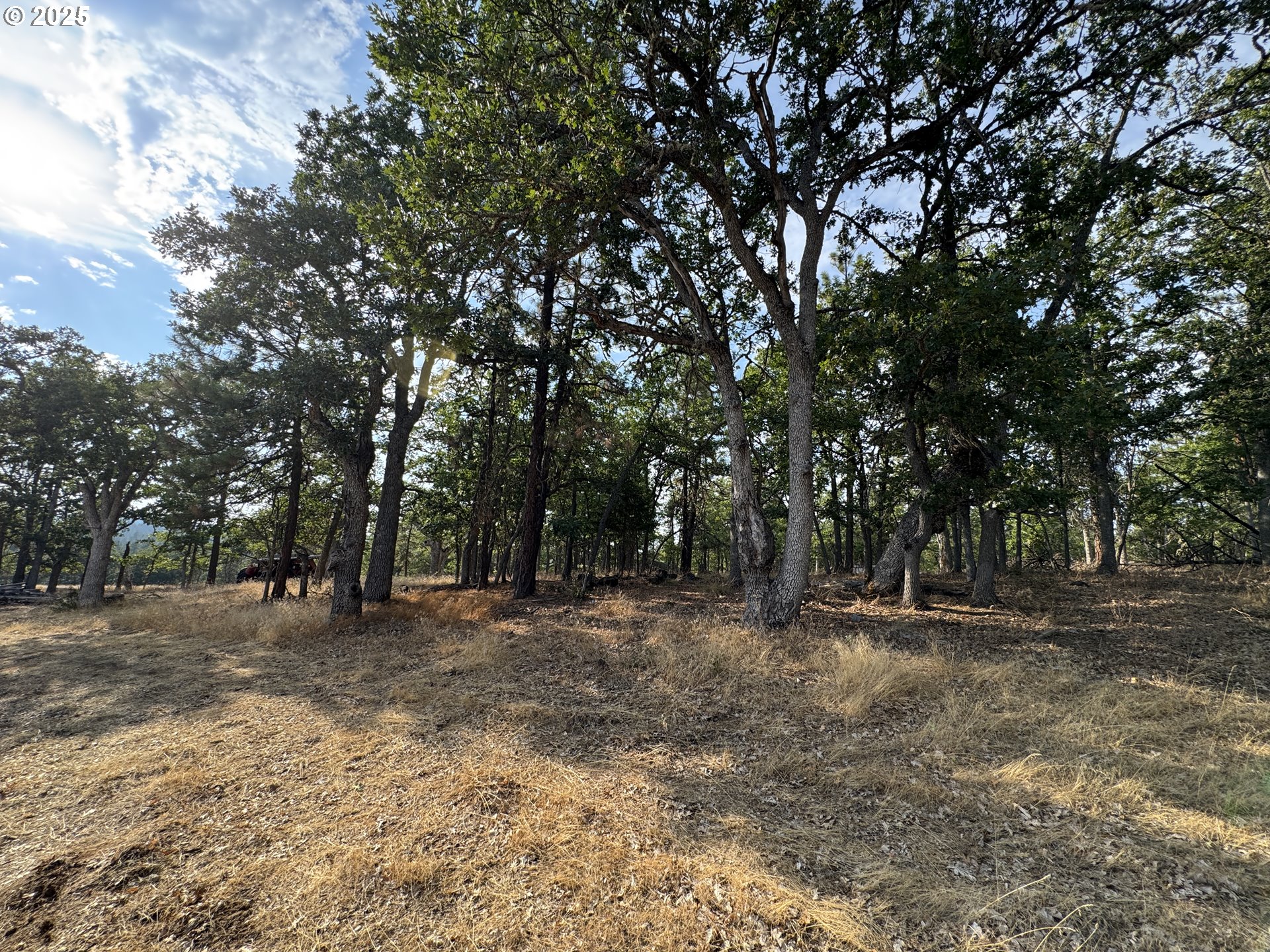 17 W SCENIC LOOP, Goldendale