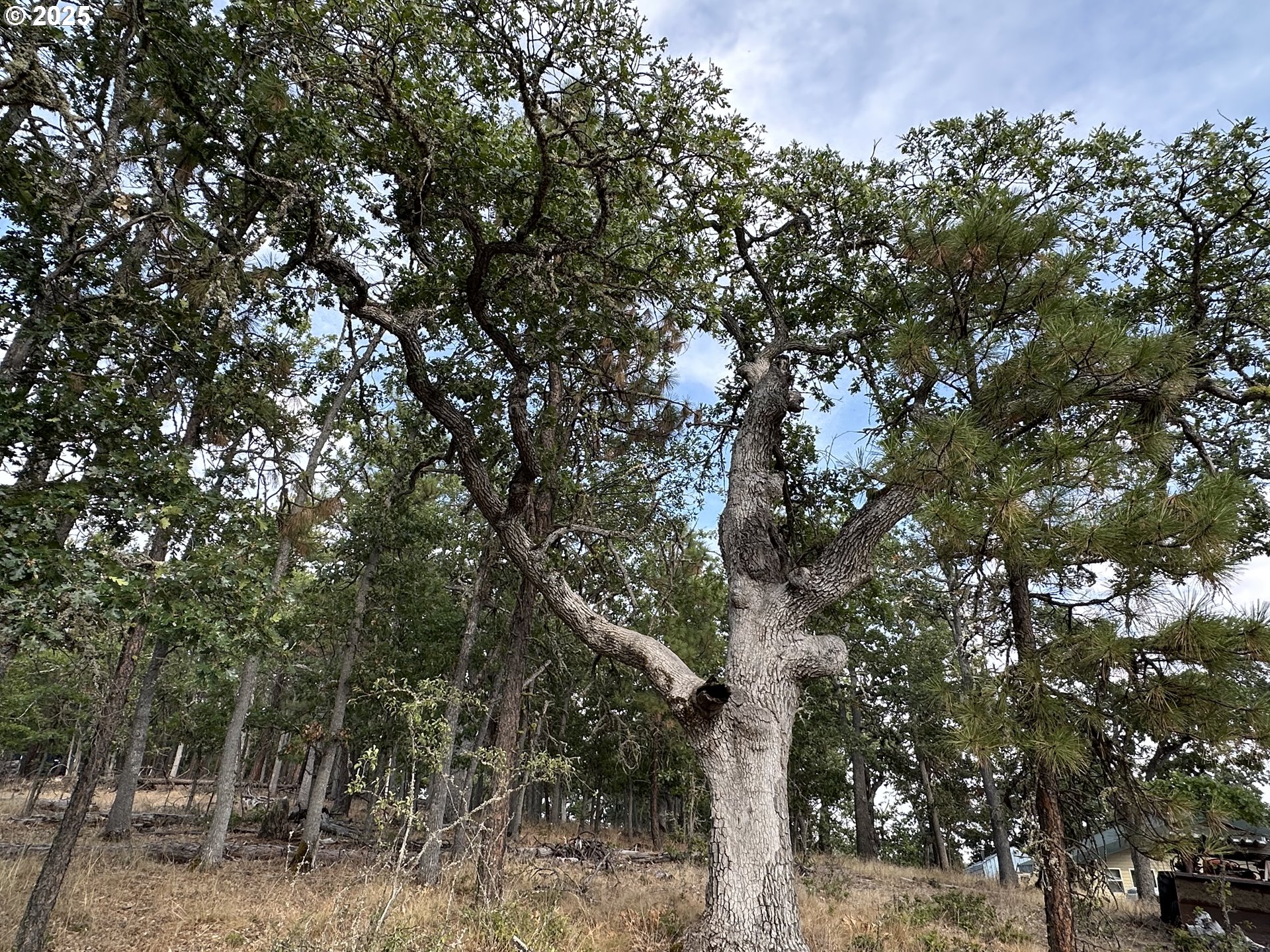 17 W SCENIC LOOP, Goldendale