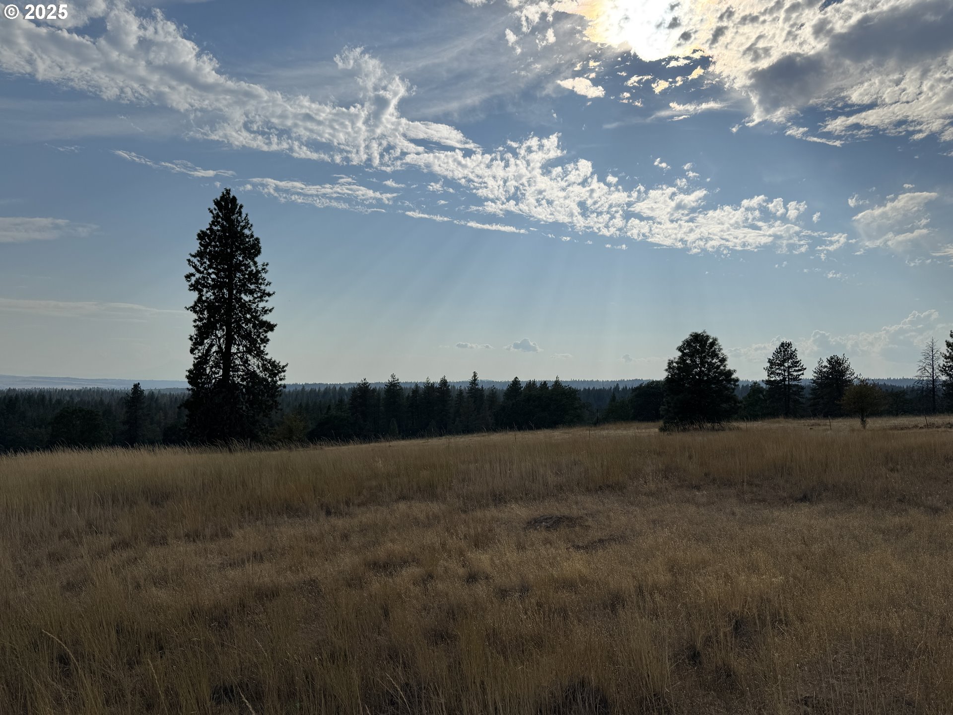 17 W SCENIC LOOP, Goldendale