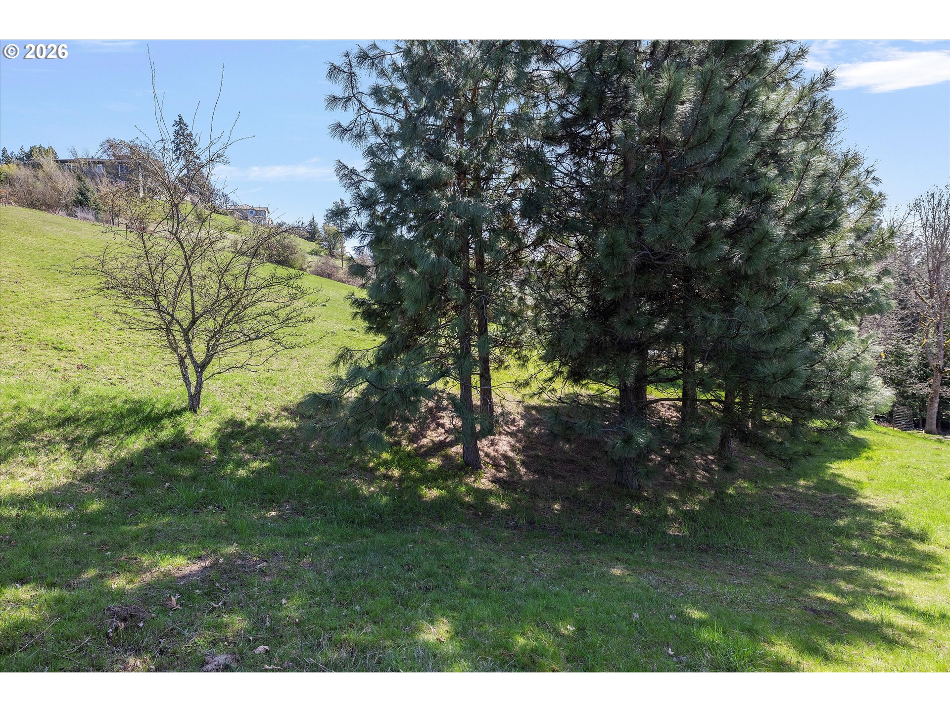 105 ALTA VISTA RD