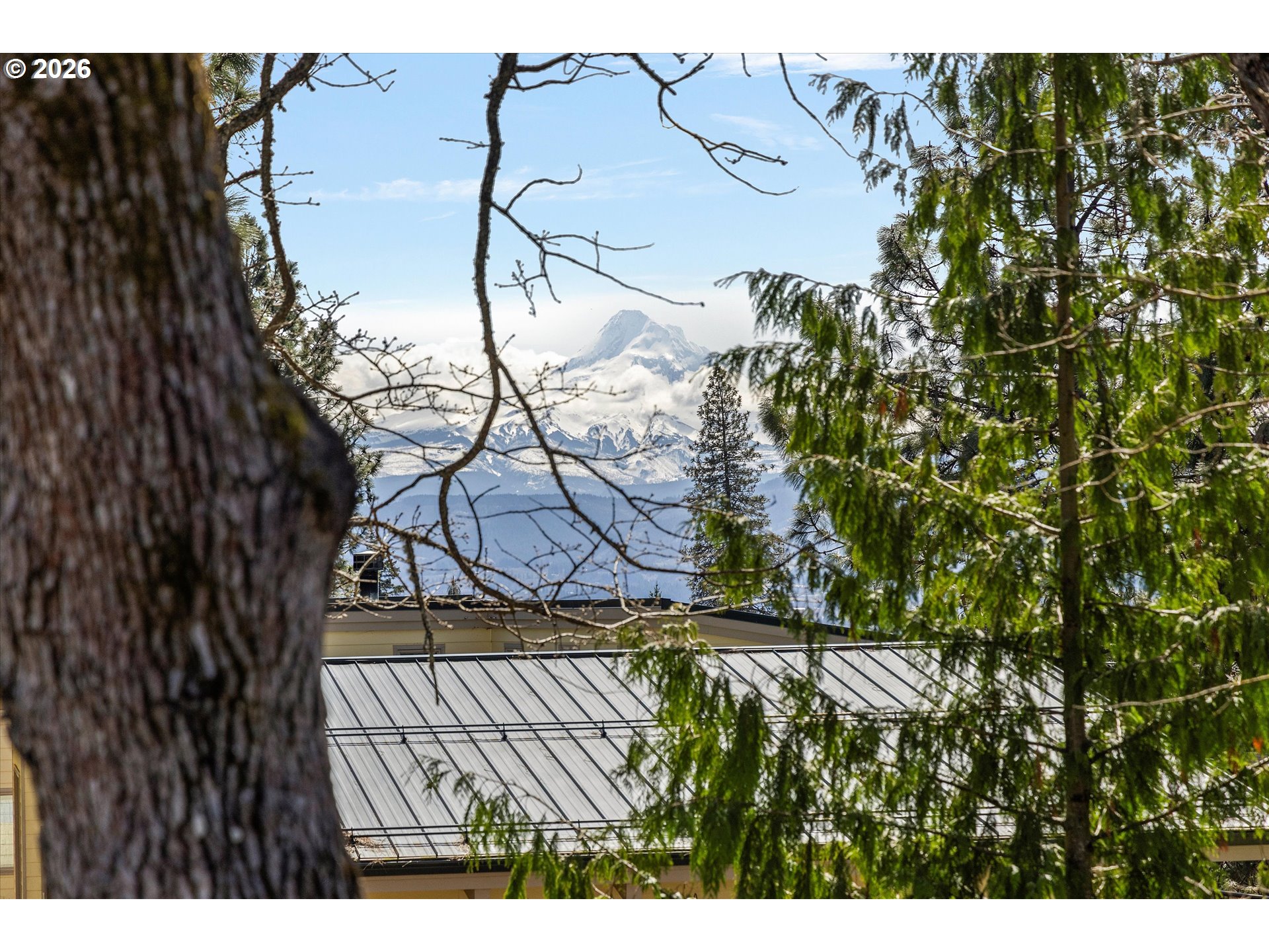 105 ALTA VISTA RD