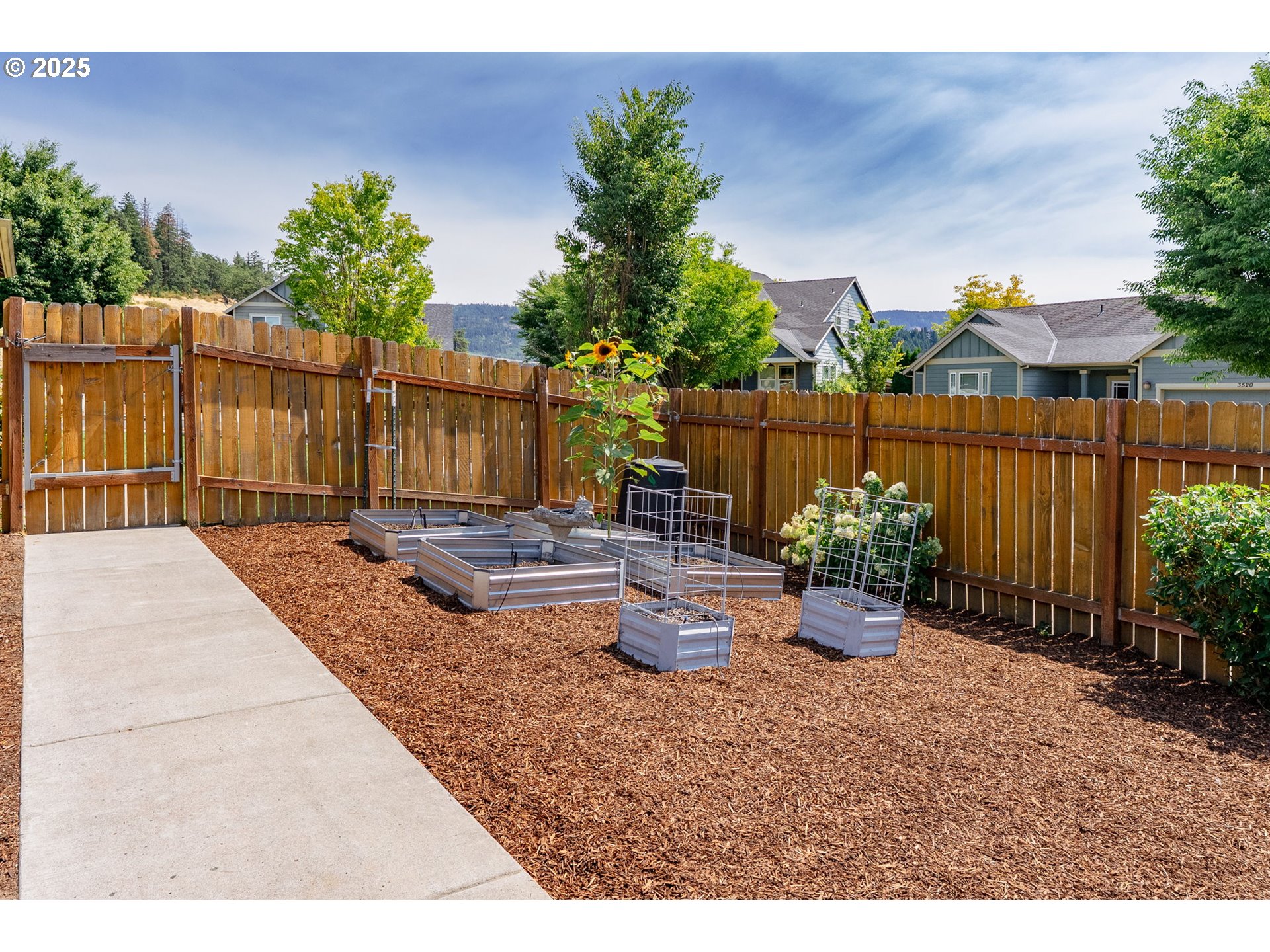 3529 JONES LOOP