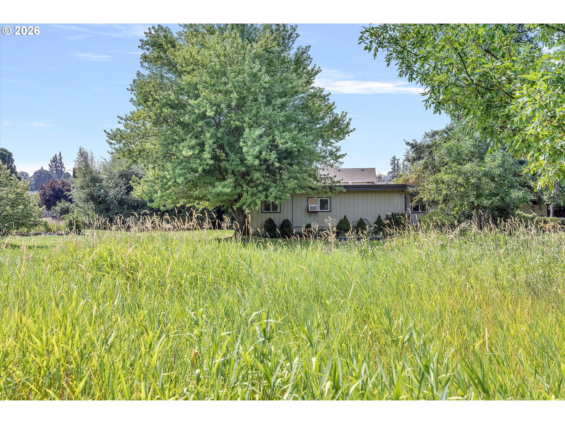 1041 CANNON DR