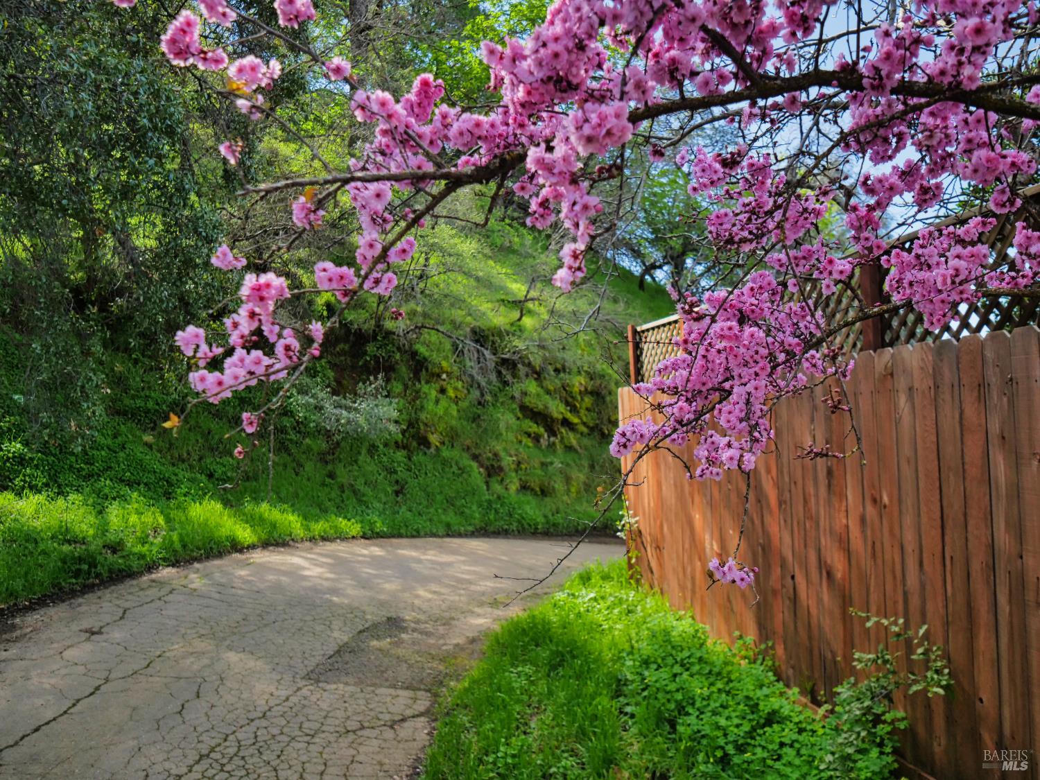 11485 Lakeshore Drive