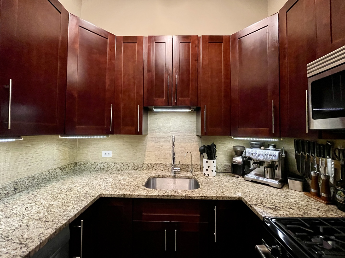 1727 S Indiana Avenue Unit: 207