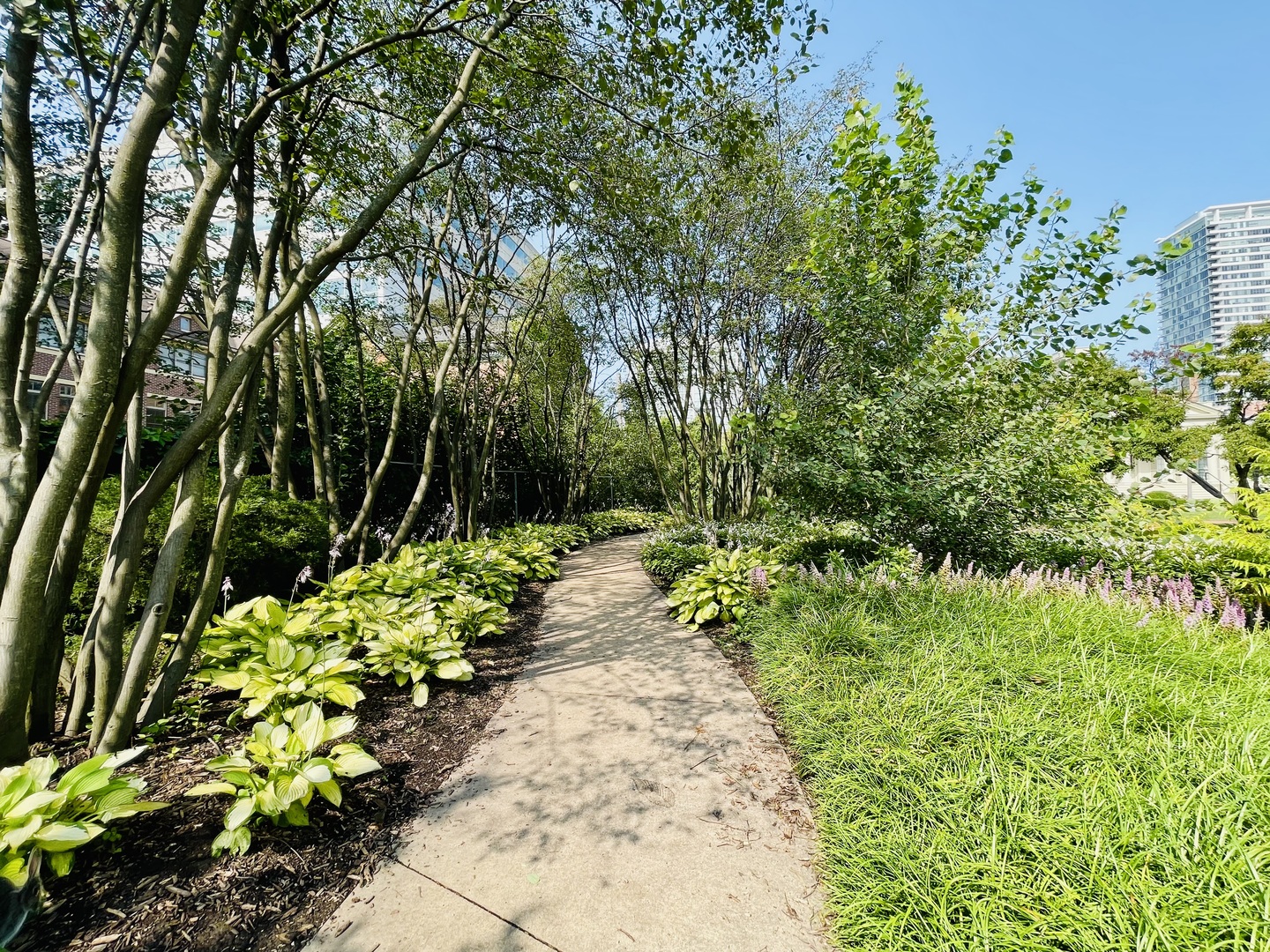 1727 S Indiana Avenue Unit: 207