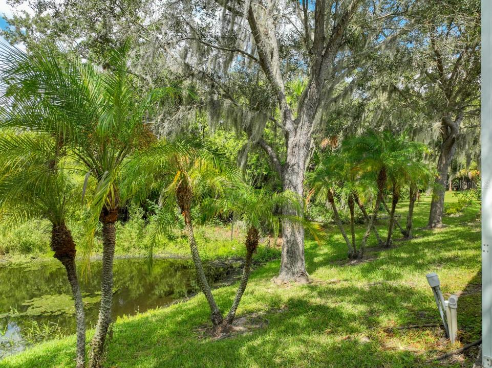 5910 WILLOWS BRIDGE LOOP