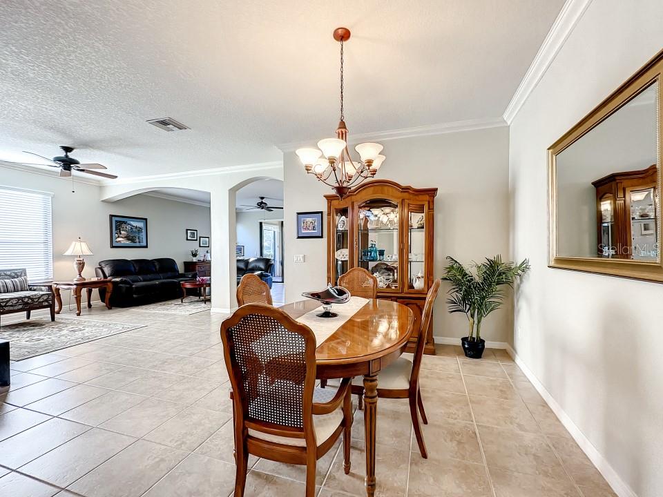 345 SILVER FALLS DR
