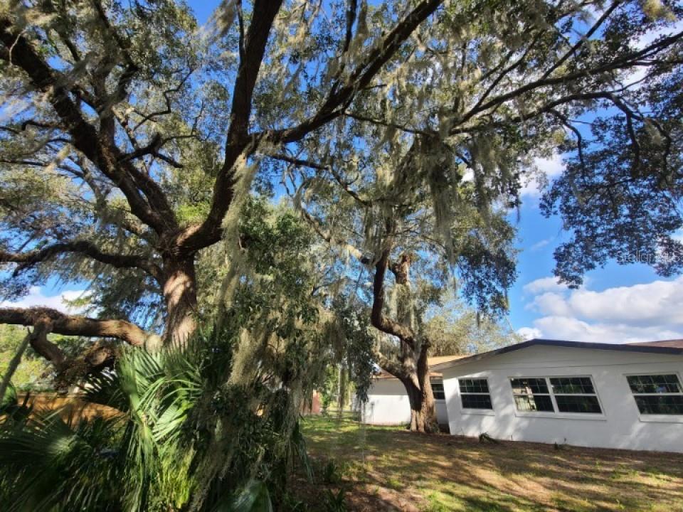 512 EMERALD RD