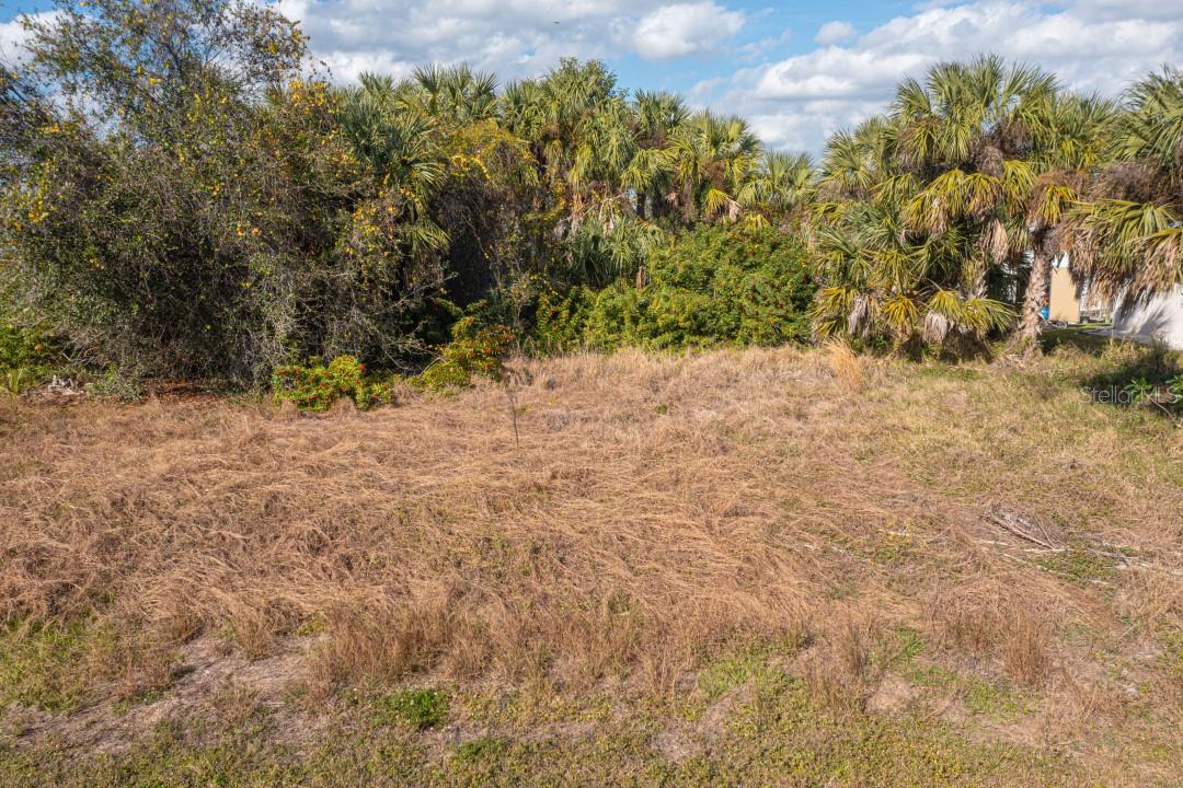 28458 SABAL PALM DR