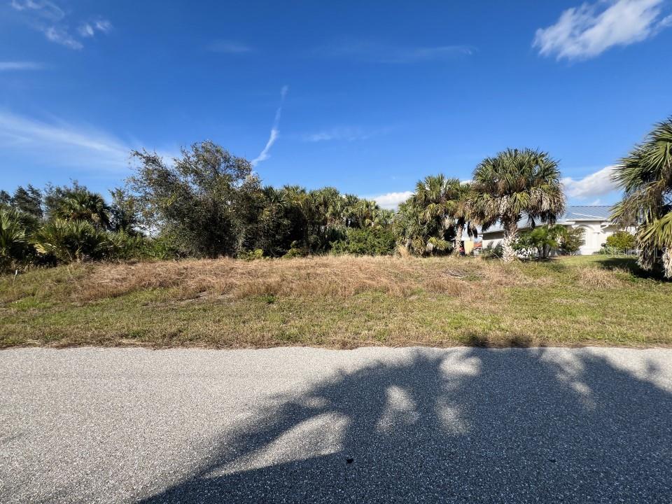 28458 SABAL PALM DR
