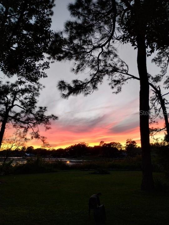 1302 W WELLINGTON DR