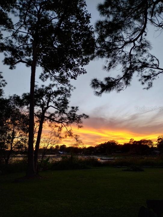 1302 W WELLINGTON DR