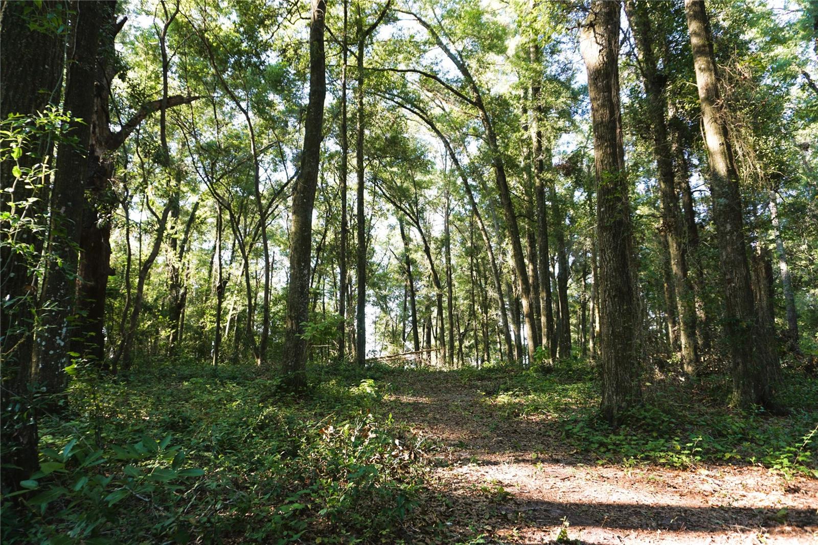 000000000 NW 175TH PL