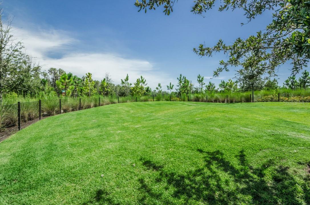 11502 RANCHERS GAP DR