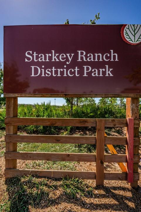 11502 RANCHERS GAP DR