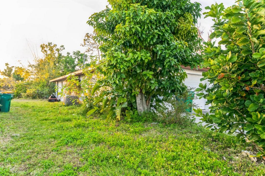 1231 BEACON DR