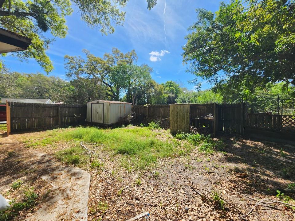 4605 NEEDLE PALM DR