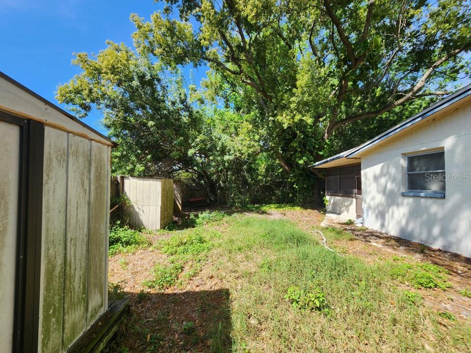 4605 NEEDLE PALM DR