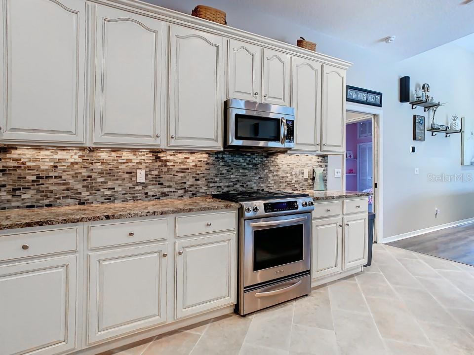 17823 OSPREY POINTE PL