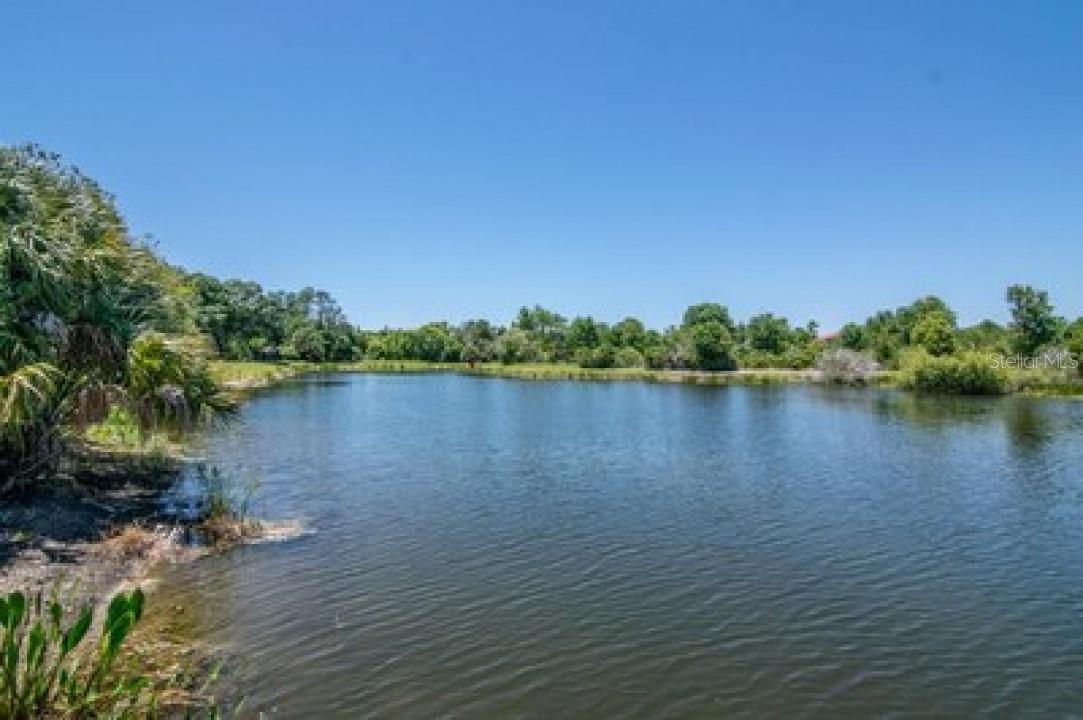 17823 OSPREY POINTE PL