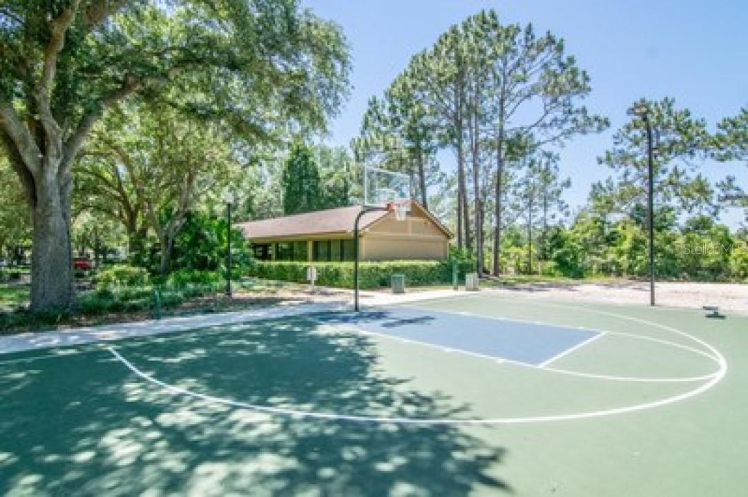 17823 OSPREY POINTE PL