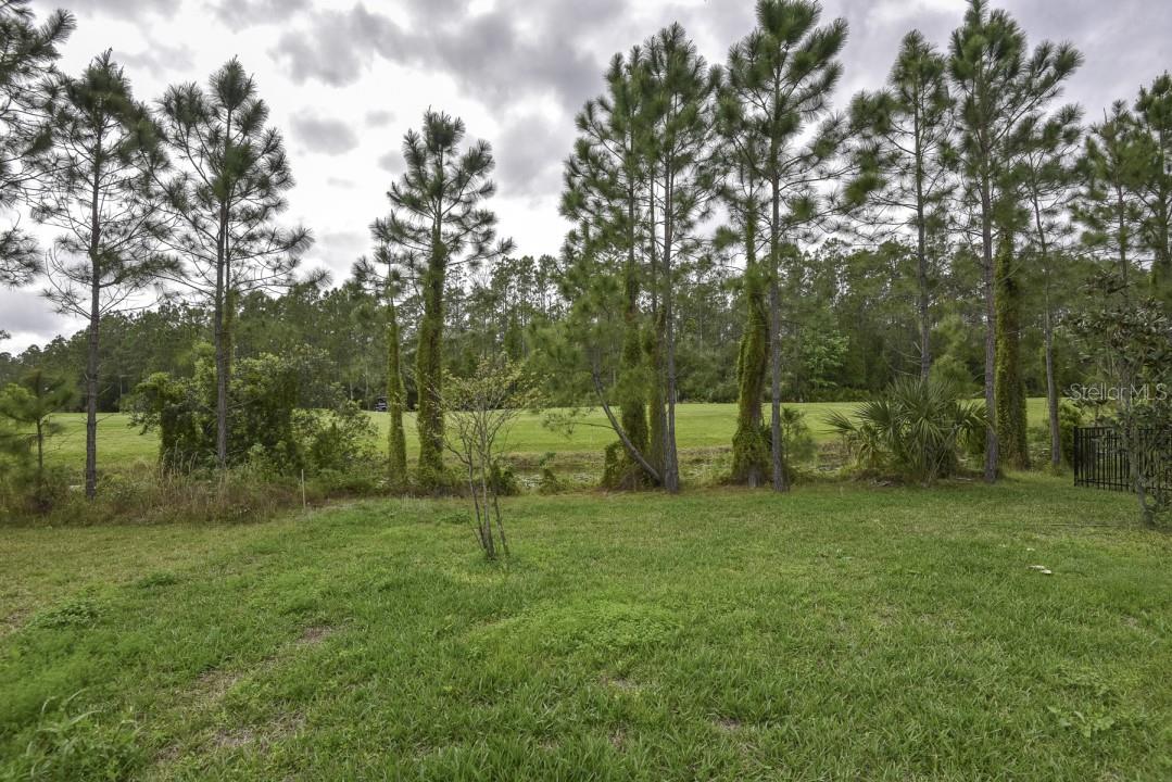 674 GRAND RESERVE DR